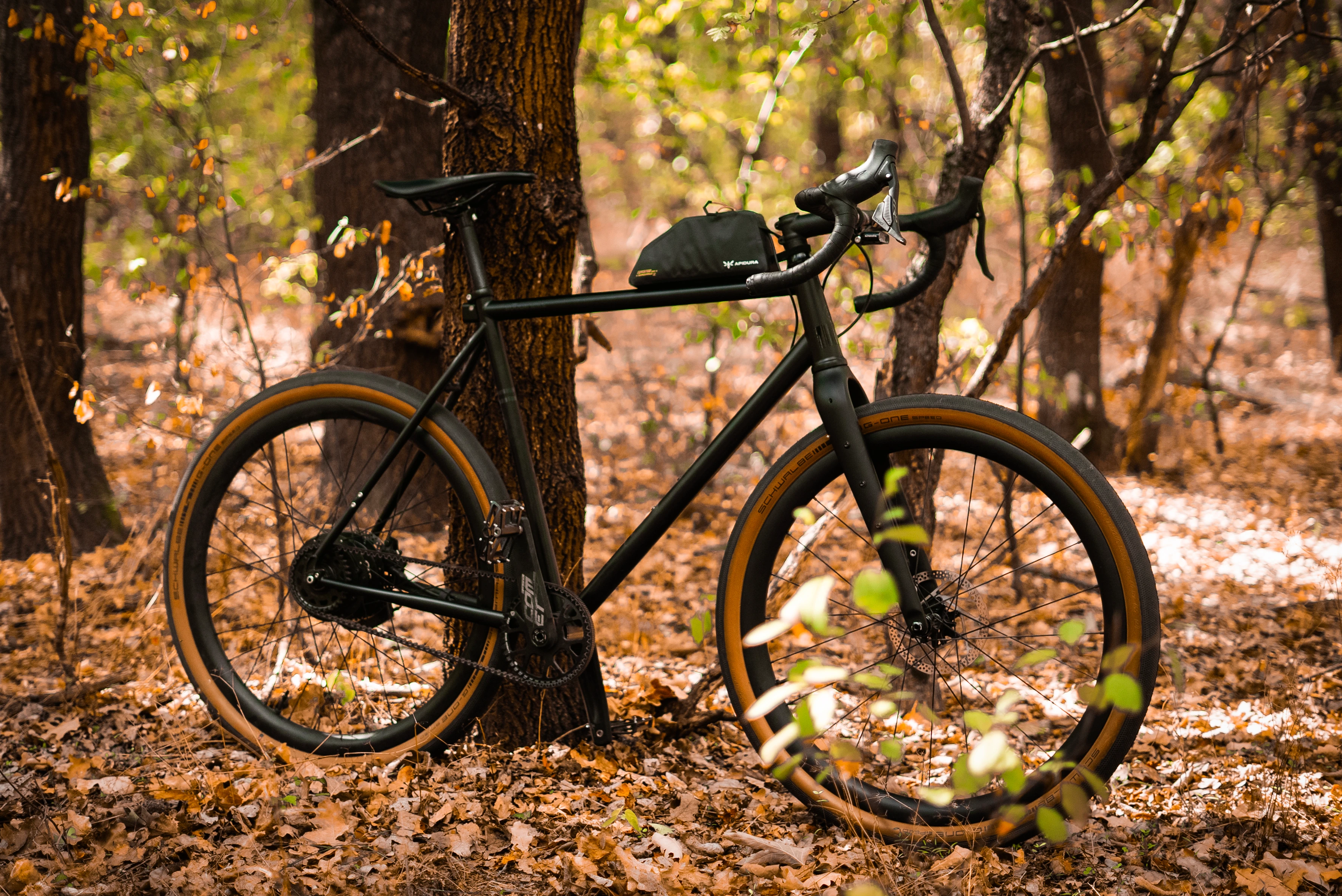 Booda Bike Alpine 3x3 gravel bike leaning on a tree in an autumn forest, tan-wall gravel tires, Apidura top tube bag
