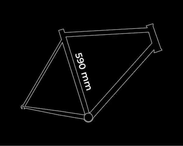 Alpine frame size L, 590 mm seat tube