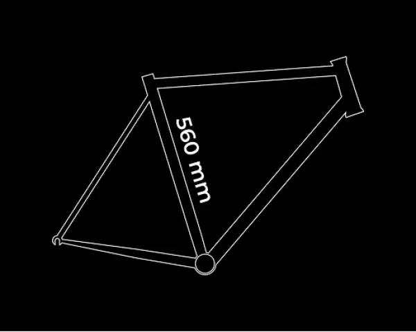 Frame size: M