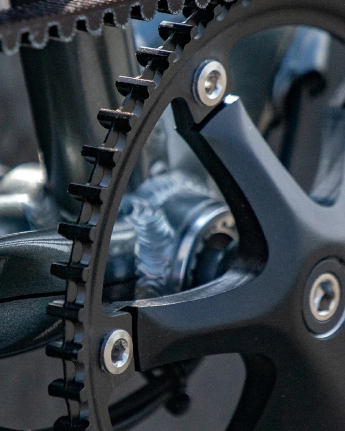 Gates Carbon Drive belt on a black front sprocket and crank, close-up on a bicycle