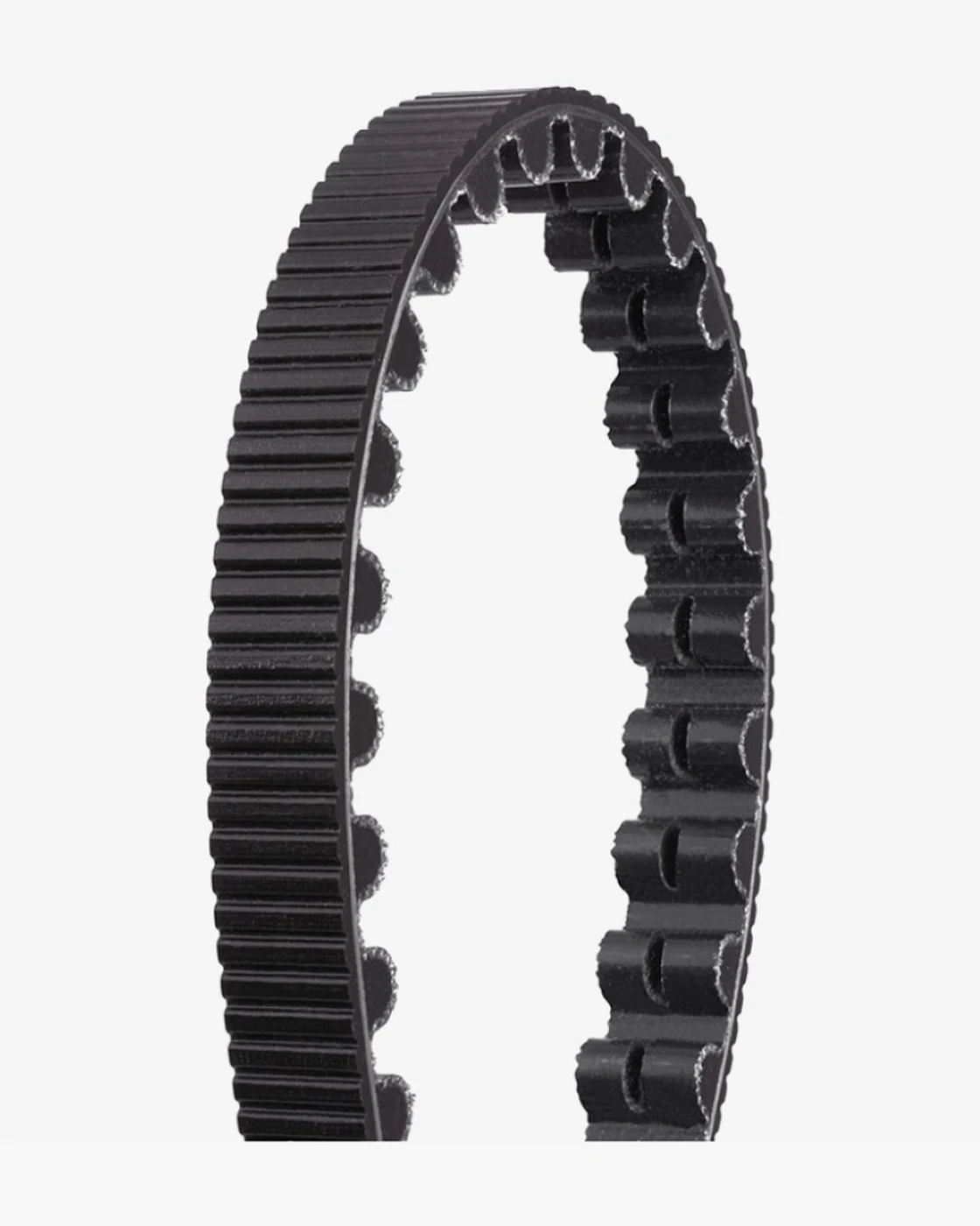 Close-up of a black Gates CDX belt standing in an arc, showing the tooth profile