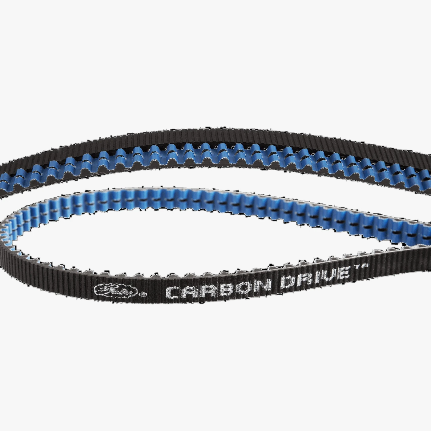 Close-up of a Gates Carbon Drive CDX belt with blue tooth side and the Gates Carbon Drive print on the black outer side