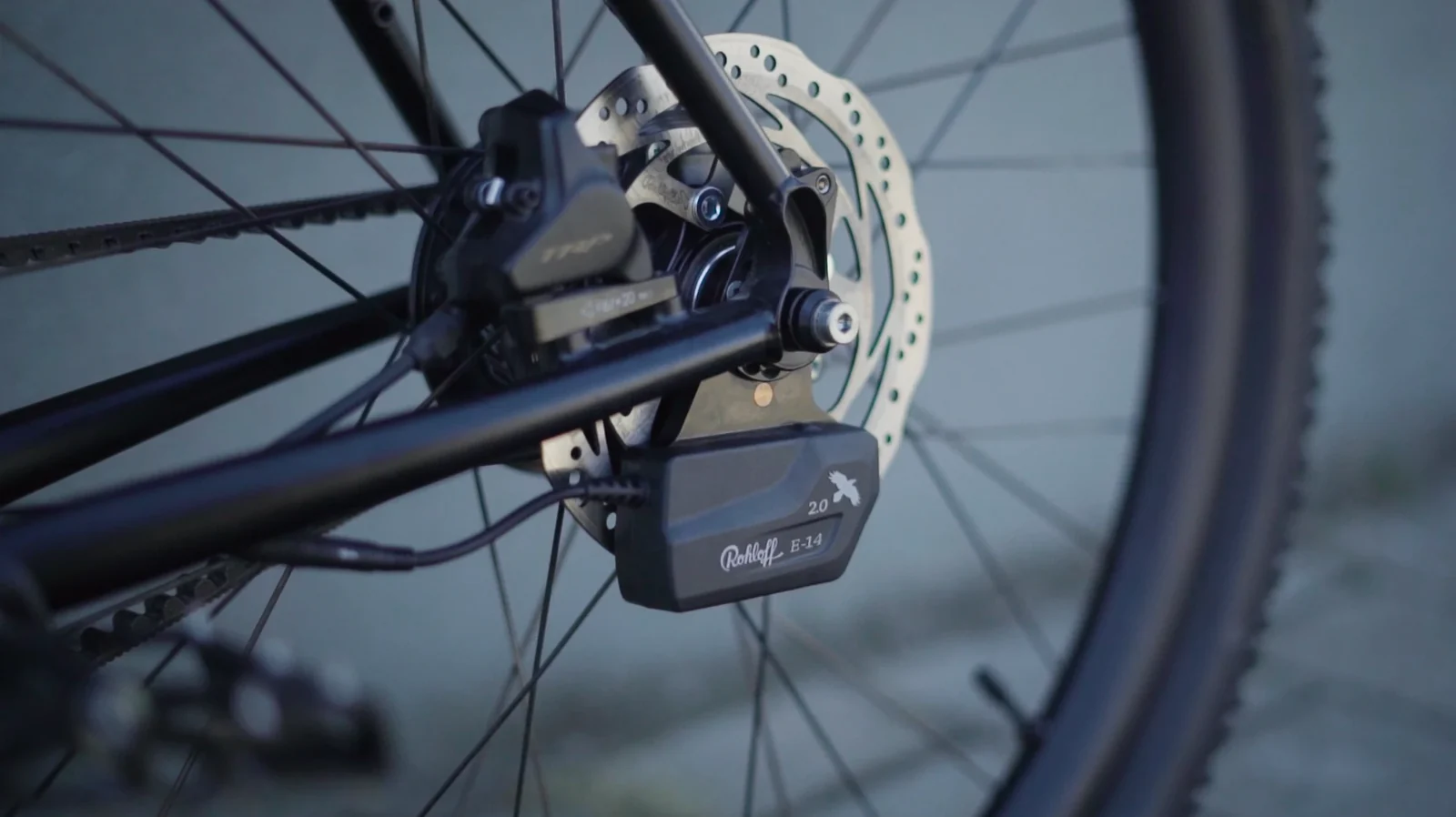 Rohloff E-14 shifting unit mounted on the rear hub of a belt-driven bike, next to a hydraulic disc brake caliper