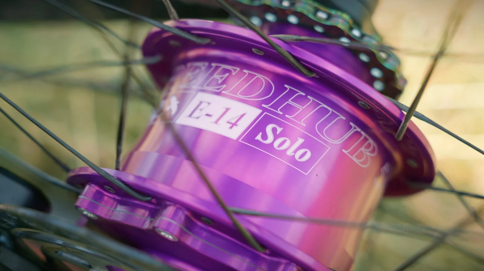 Close-up of a Rohloff SPEEDHUB with the E-14 Solo marking engraved on the hub shell, seen between the spokes