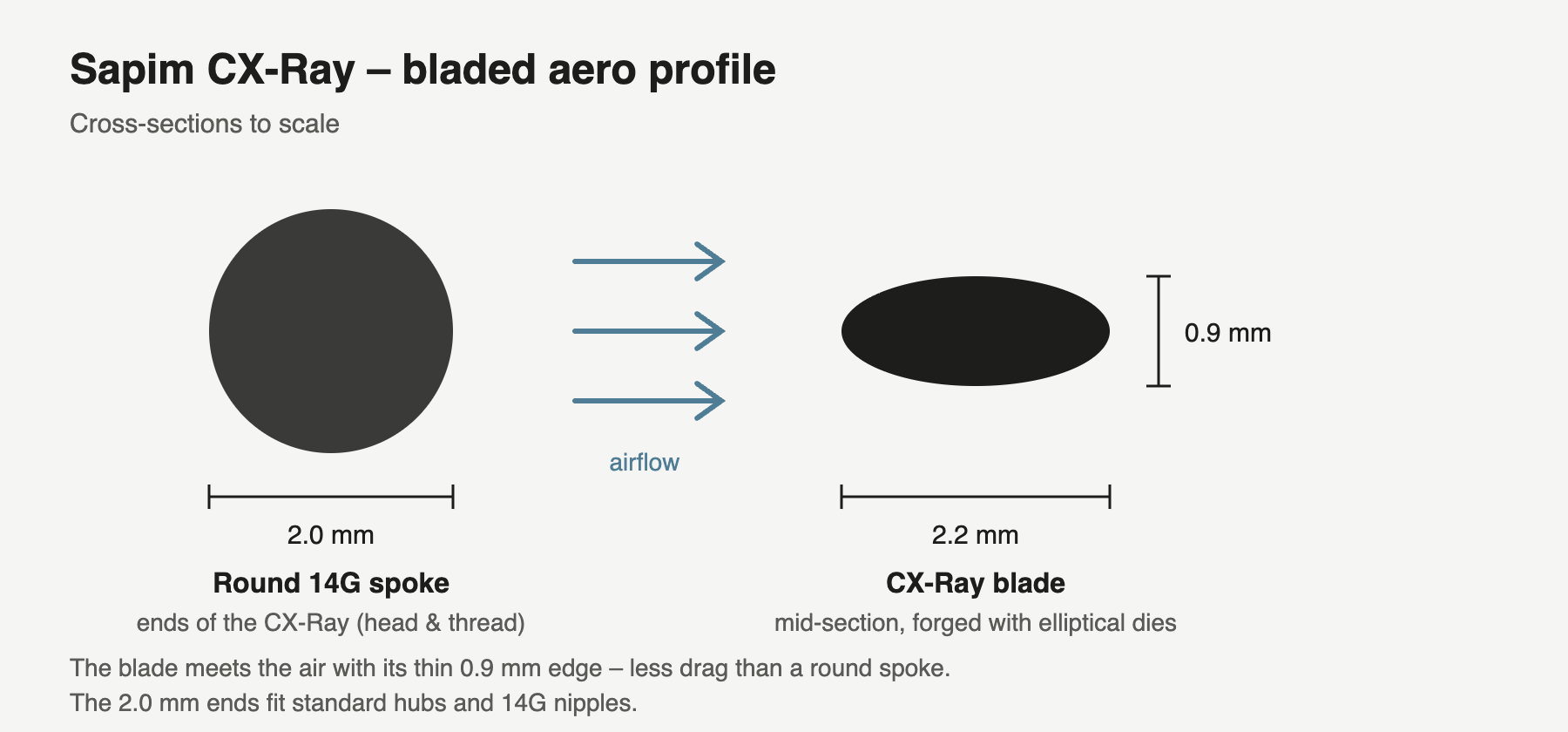 Sapim CX-Ray cross-section: 0.9 × 2.2 mm blade compared with a 2.0 mm round spoke