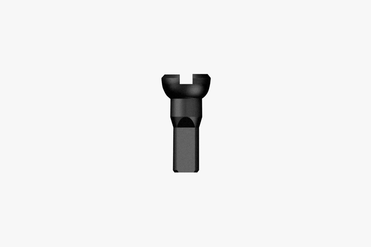 Black Sapim Polyax brass spoke nipple, 12 mm, with slotted head